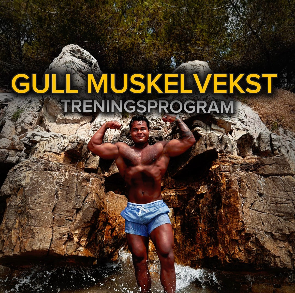 GULL MUSKELVEKST - Treningsprogram